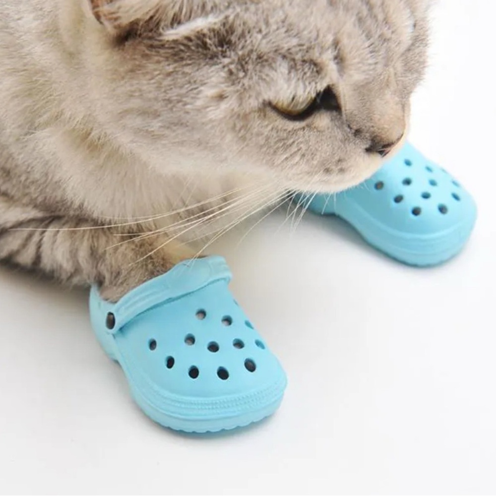 New kitty cat blue croc shoes - Picture 1 of 5